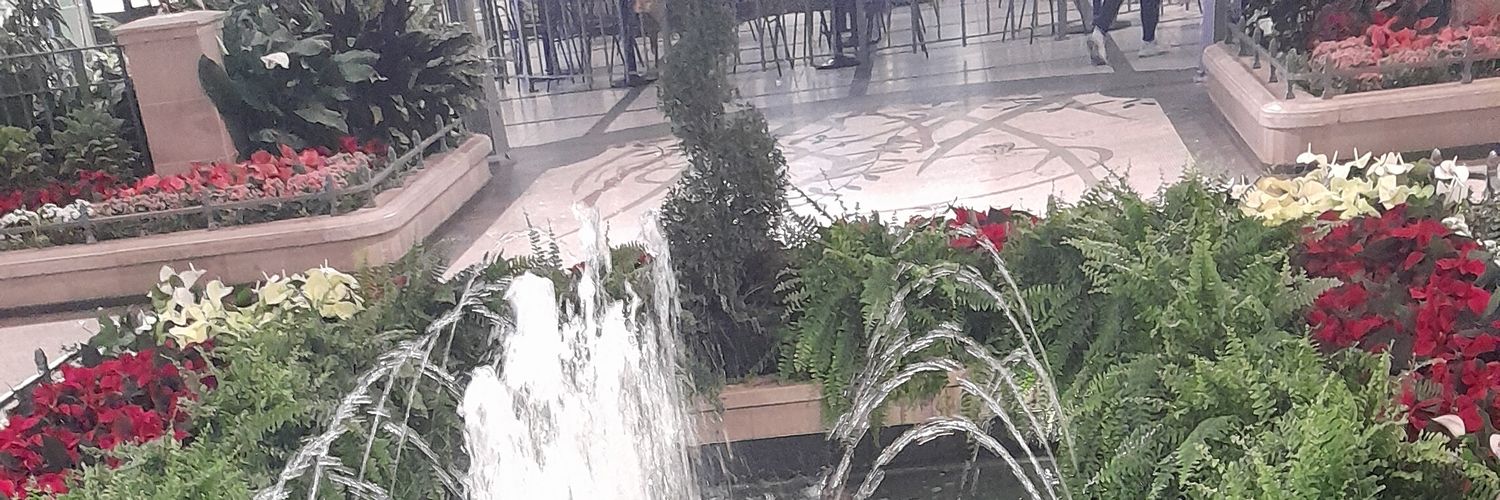 Meri Smith 🇺🇦🇨🇦 banner