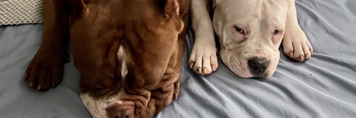 FΣrnando Chavez banner