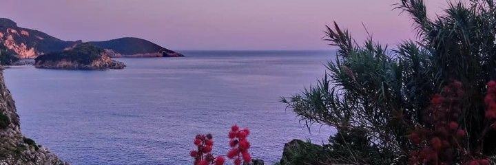 Stuart Finnie banner