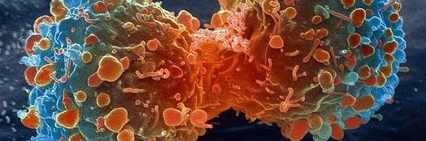 R. Bryan Rumble banner