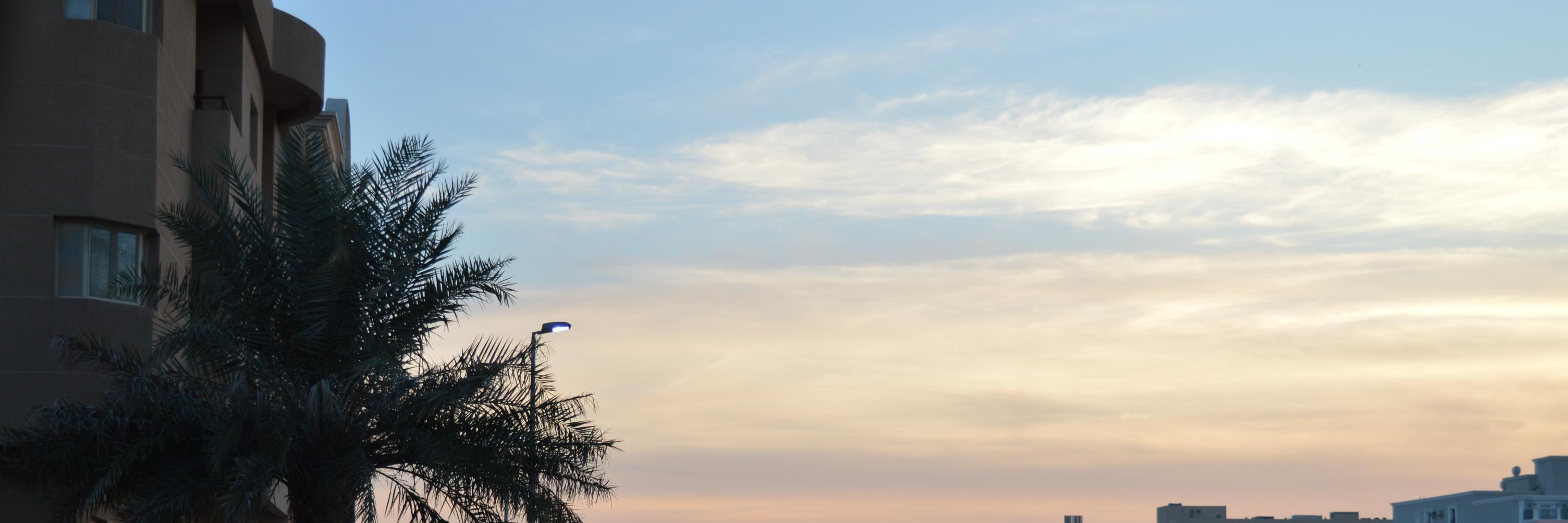 sumisallay's profile banner image