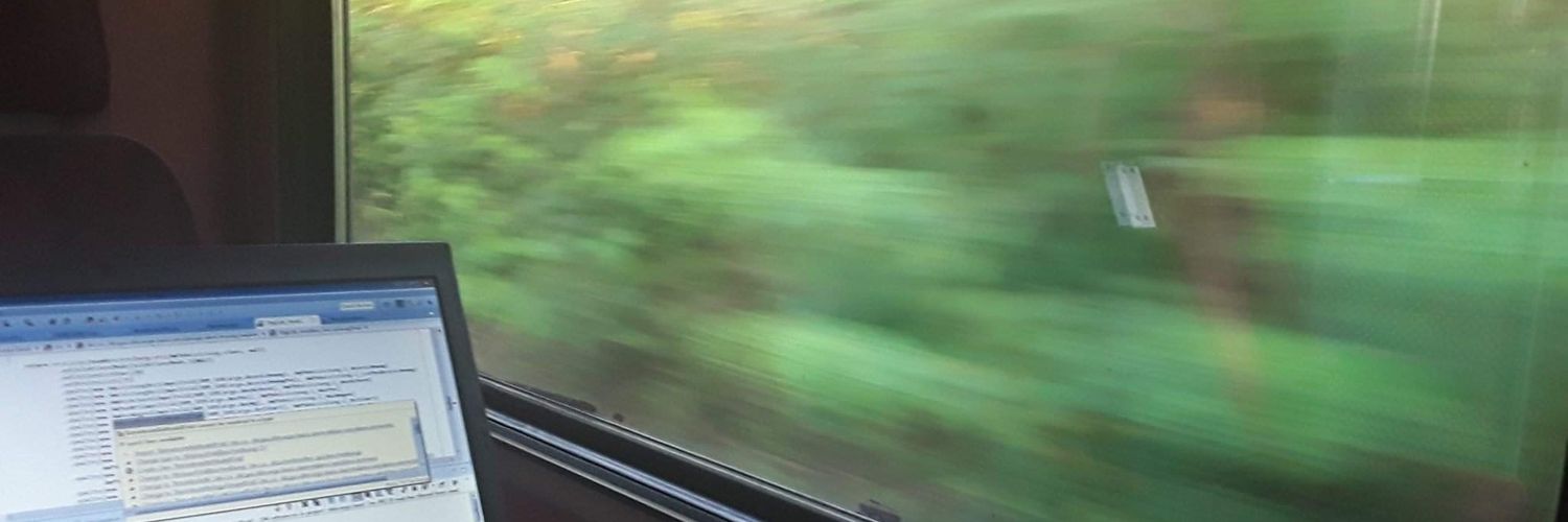 Irina Marudina banner