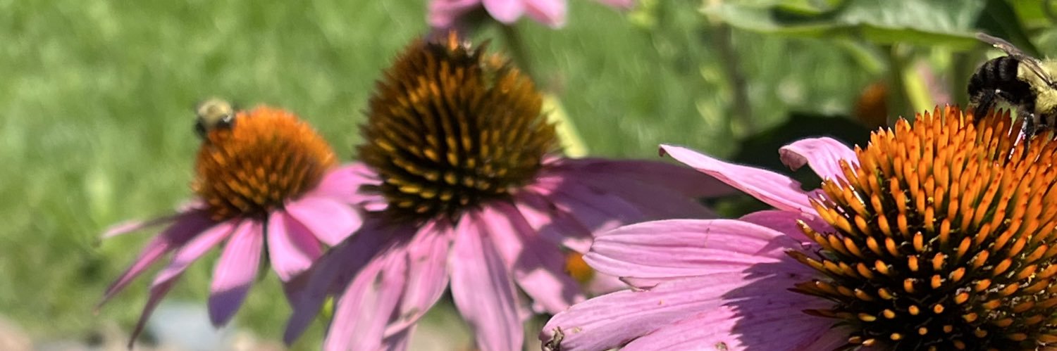 ChelseaTweeters banner