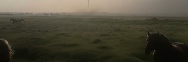 Infactuallity banner