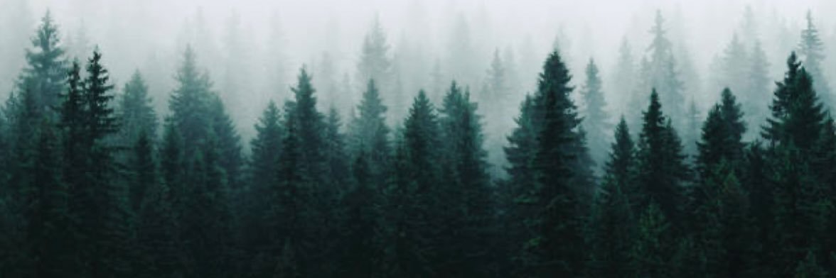 METazzari's banner