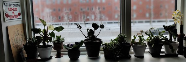 Morango_dk Profile Banner