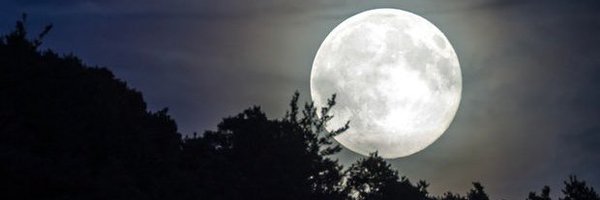 Kirbystar300 Profile Banner