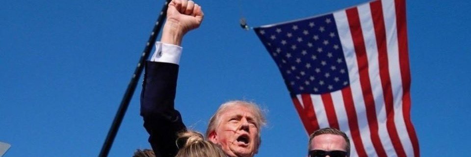 Steve knows banner