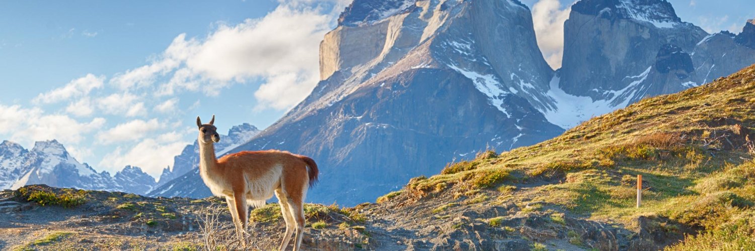 eguetti's profile banner image