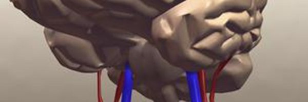 ossama_mansour Profile Banner