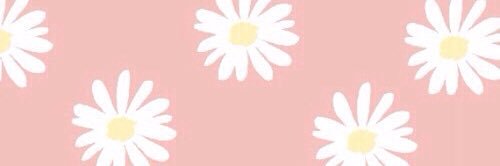 agelessbloom's profile banner image