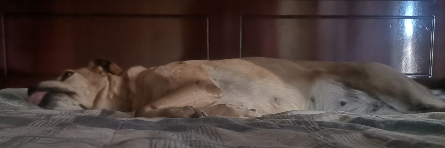 Edsonespv's profile banner image