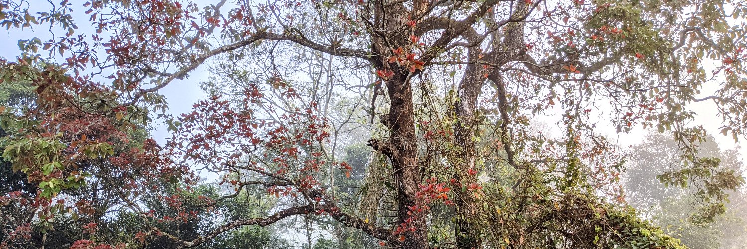 Sandeep Kelvadi banner