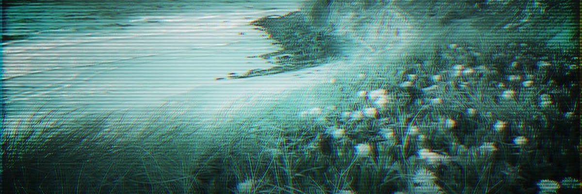 InternetRecord1's profile banner image