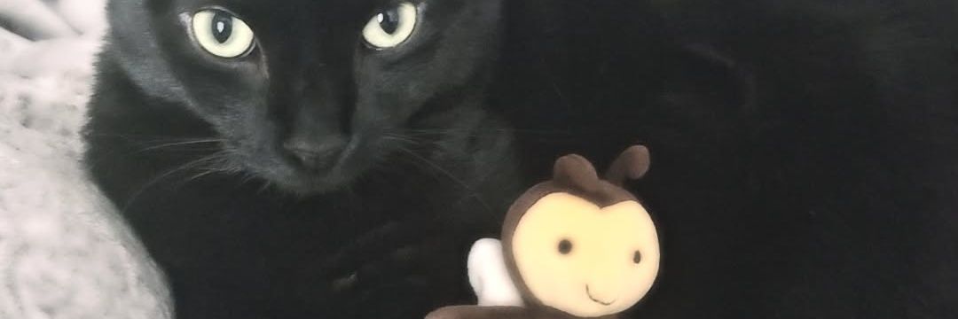 BEEfan～♪⁠'s banner