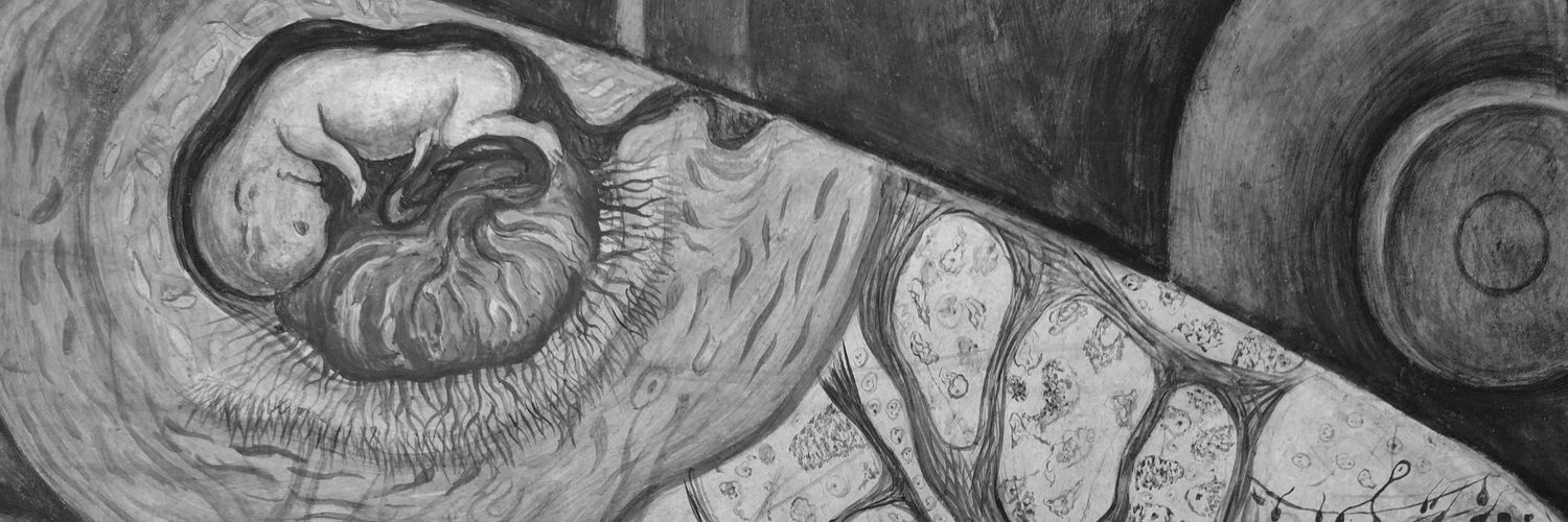 untalkativefer's profile banner image