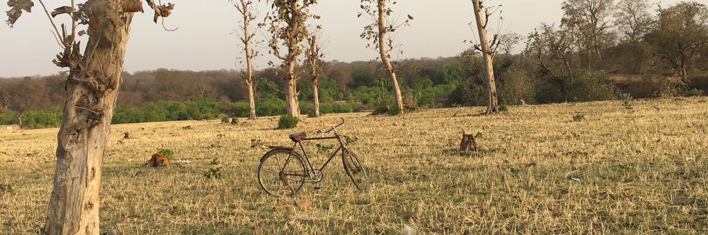 Hannah Harris Green banner