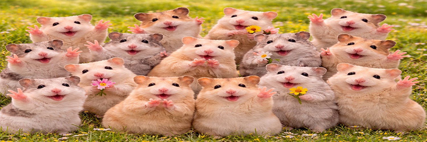 8686waffle's profile banner image