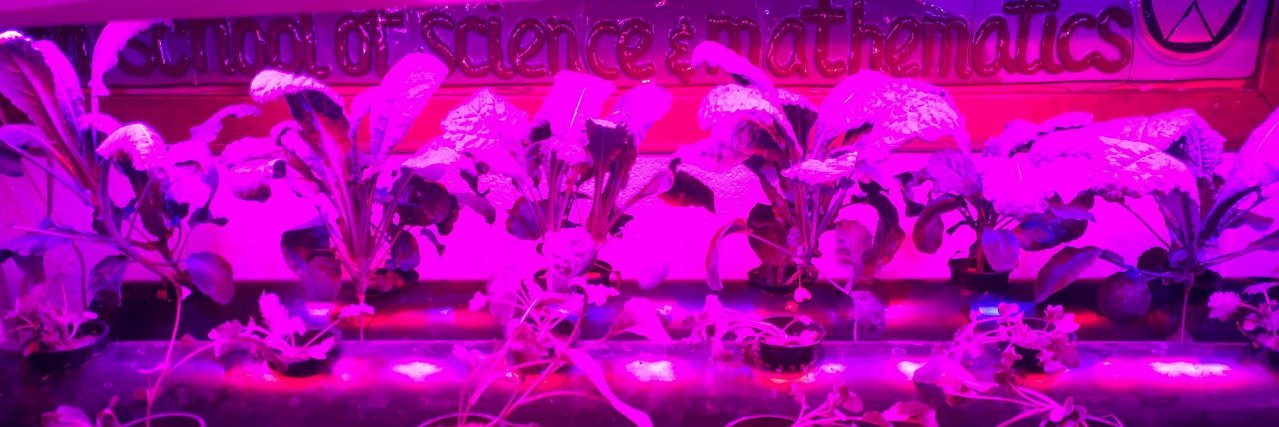 MrDBio's profile banner image