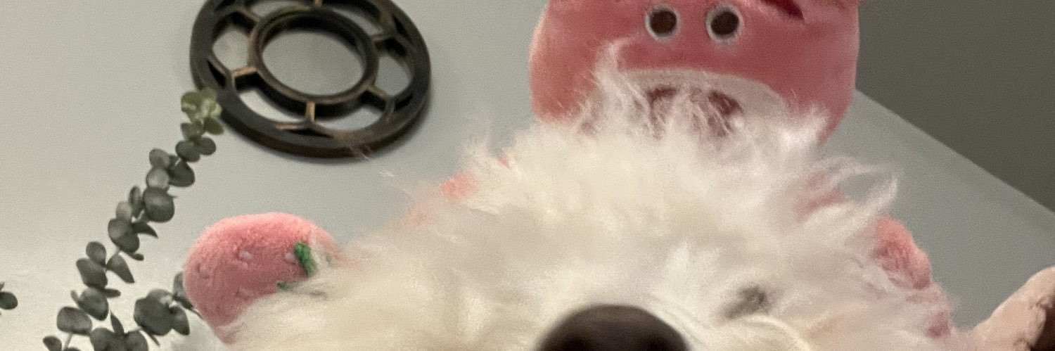 sabinito0's profile banner image