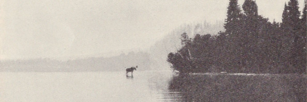 donmelanson's profile banner image