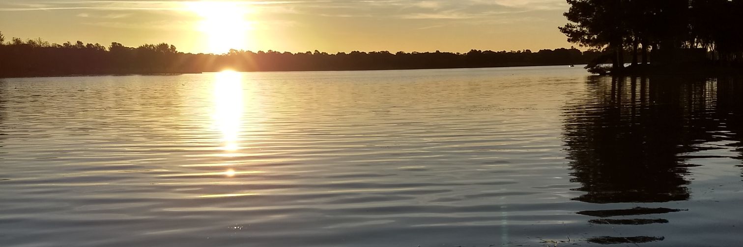 Tom_Swann's profile banner image