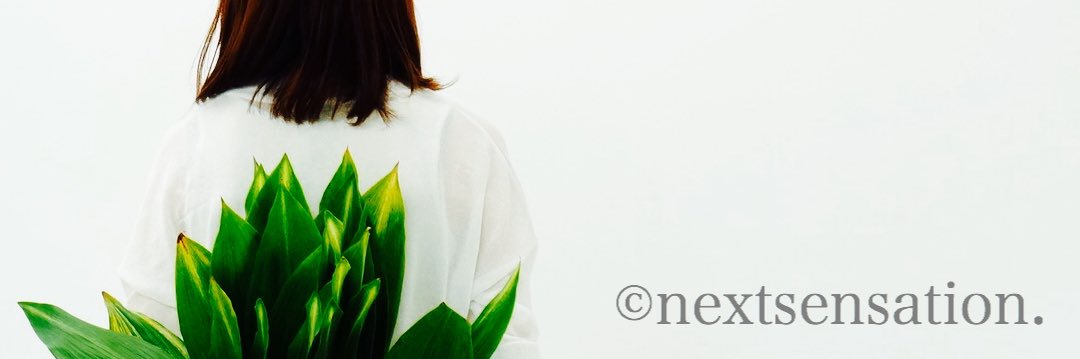 ishitanimotoki's profile banner image