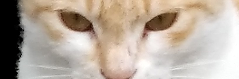 Political Engineer 🎗️🌎 banner