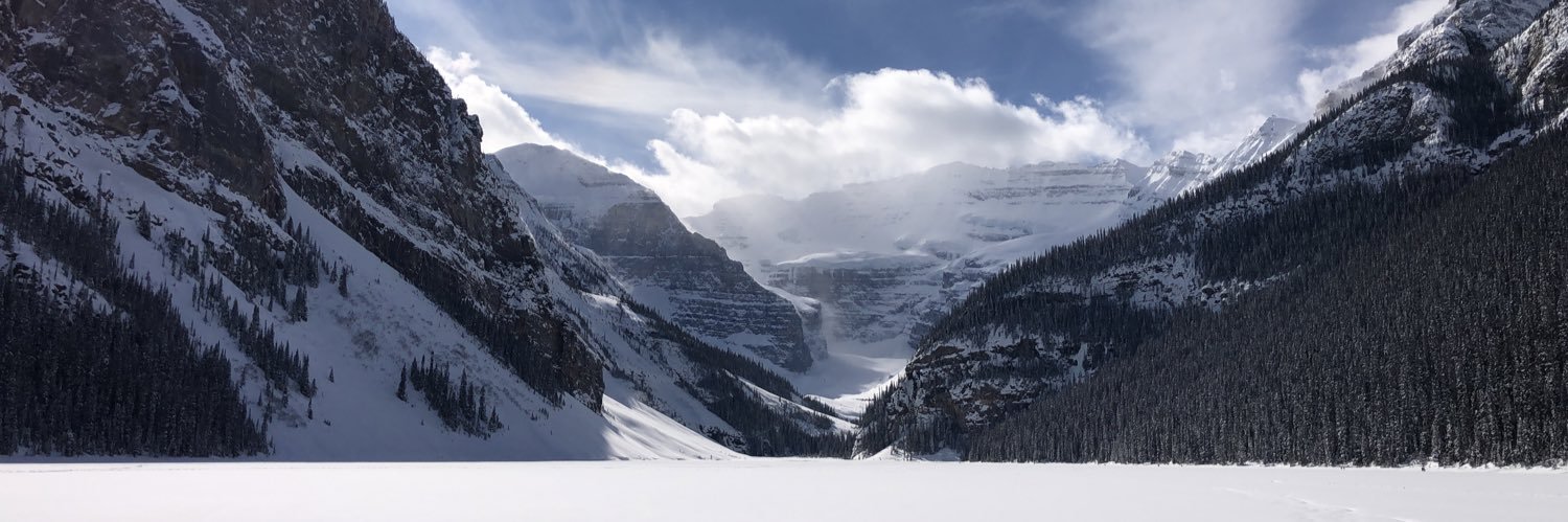 Michelle Berryman banner