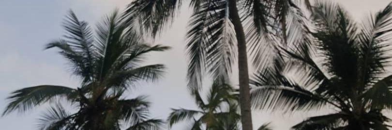 MariaCparra's profile banner image