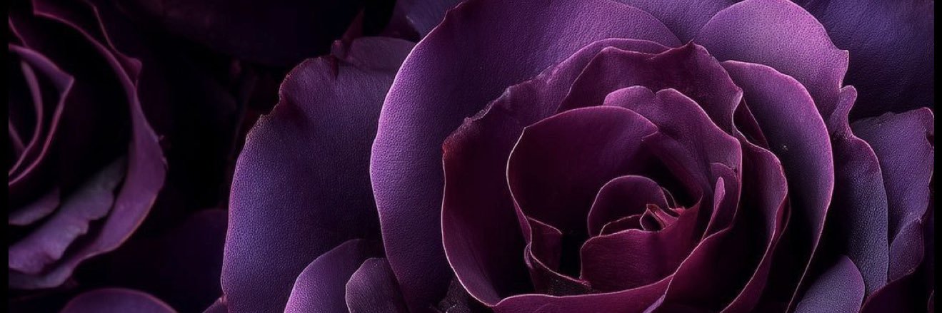 Blair Bear 💜 banner