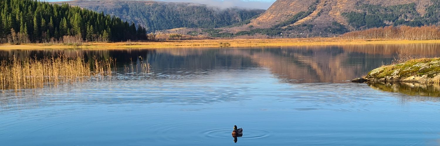 The Science Show at Nord banner