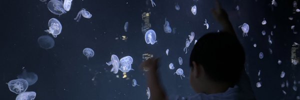 lr1f_4 Profile Banner