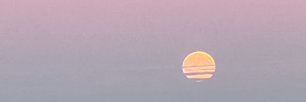 paneolius Profile Banner