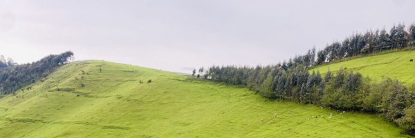 JumbaDrc Profile Banner