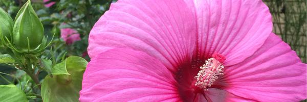 tjohnsonRecruit Profile Banner