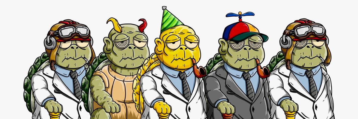 Turtle Friends banner