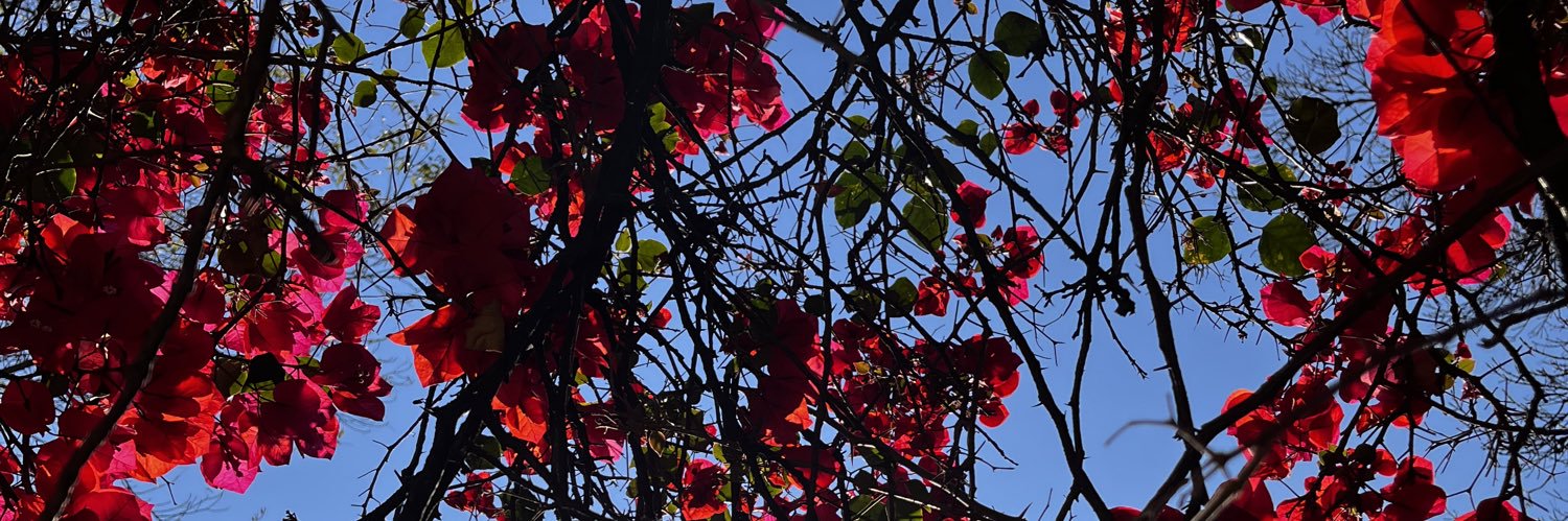 haemonchusc's profile banner image