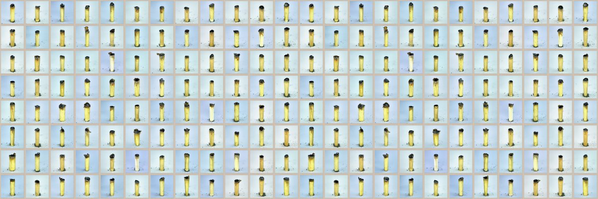smelslikecrypto's profile banner image