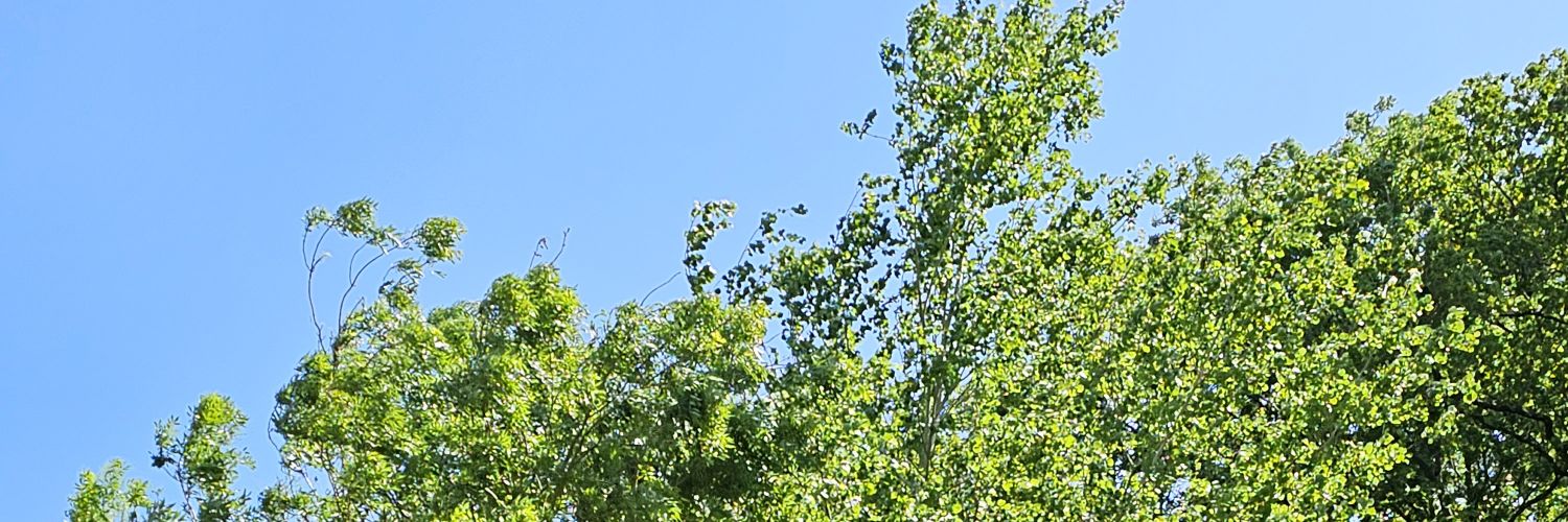 Barry39uk's profile banner image