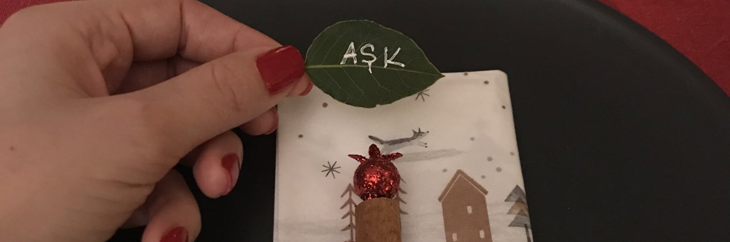 arzuascioglu's profile banner image