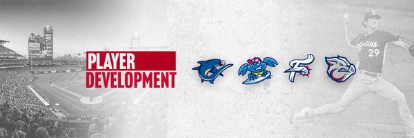 Phillies Player Development Profile Banner