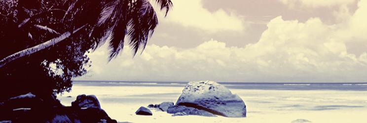 PapPepsi's profile banner image