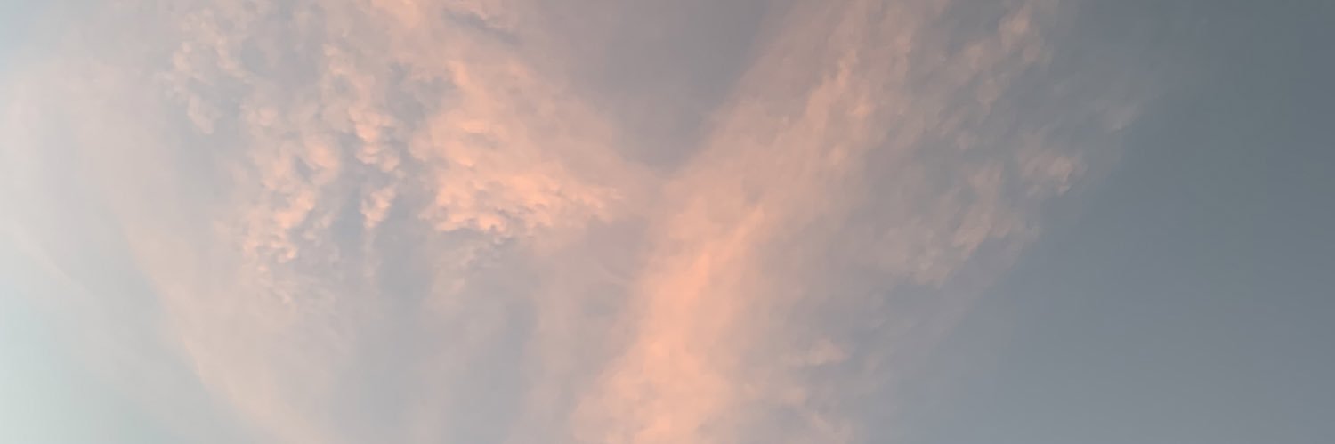 julyds629's profile banner image