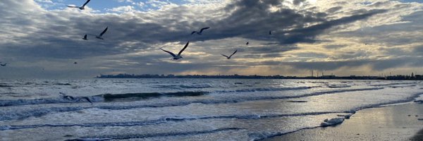 liubovvik Profile Banner