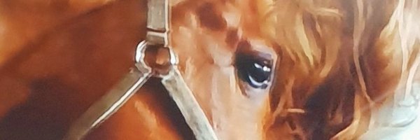 Larahernandezc Profile Banner
