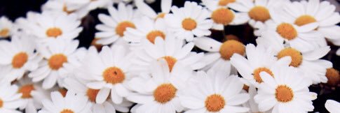 valen228's profile banner image
