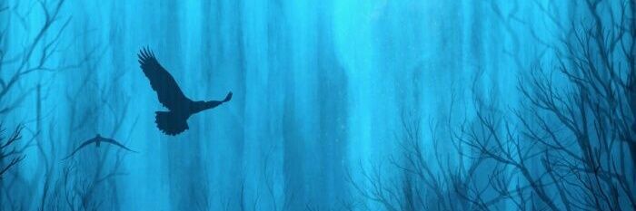venugopalys's profile banner image
