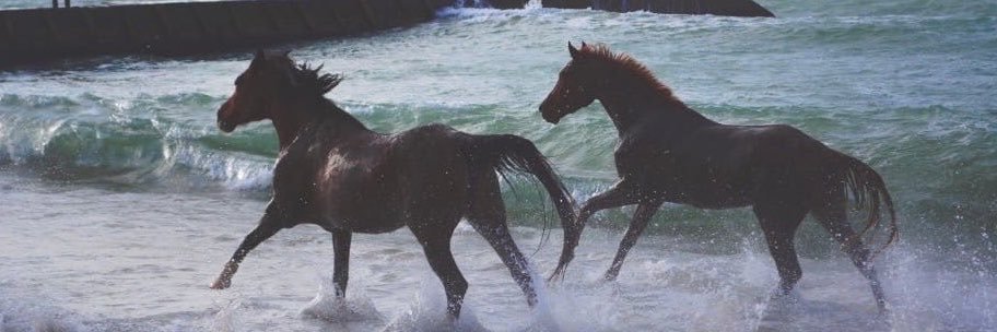 Princesslollla's profile banner image