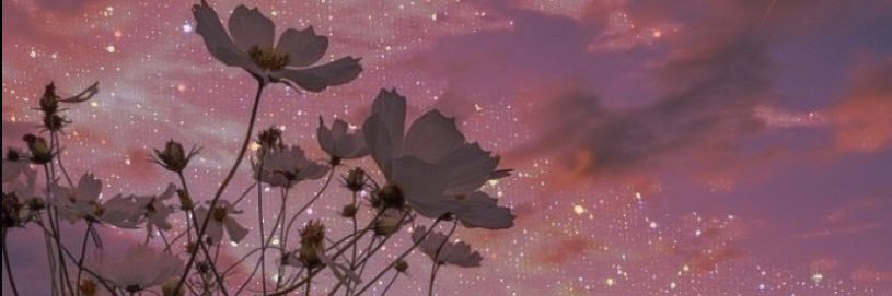 raarabell's profile banner image